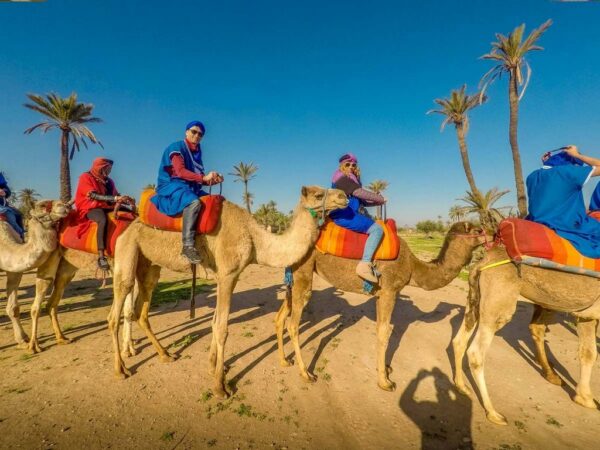 Balade à Dos de Chameau dans la Palmeraie de Marrakech