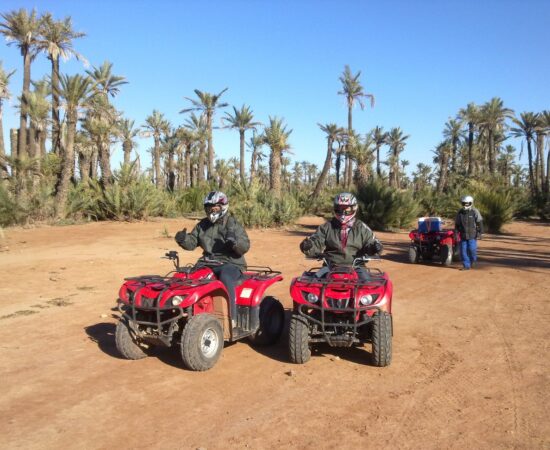 Balade Combinée : Chameau & Quad dans la Palmeraie de Marrakech