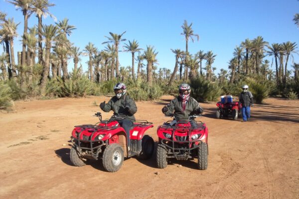 Balade Combinée : Chameau & Quad dans la Palmeraie de Marrakech