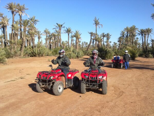 Balade Combinée : Chameau & Quad dans la Palmeraie de Marrakech