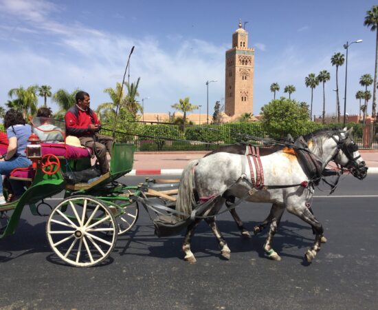 Balade en Calèche au Crépuscule à Marrakech