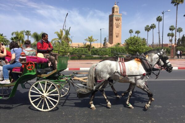 Balade en Calèche au Crépuscule à Marrakech