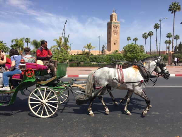 Balade en Calèche au Crépuscule à Marrakech